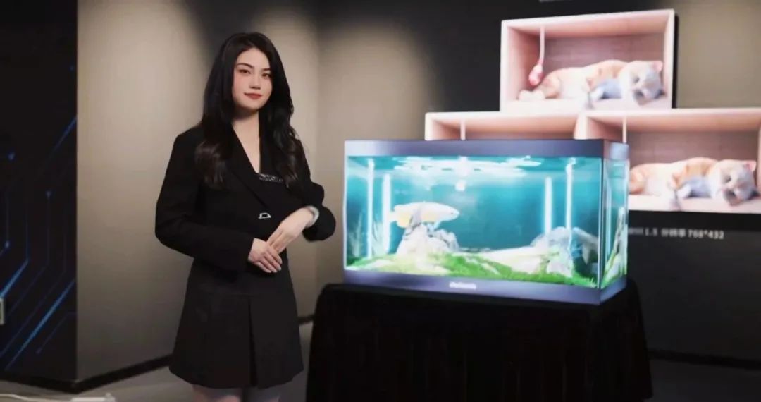 世界杯赛程·2026美加墨中国区现场直播