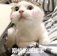 世界杯赛程·2026美加墨中国区现场直播
