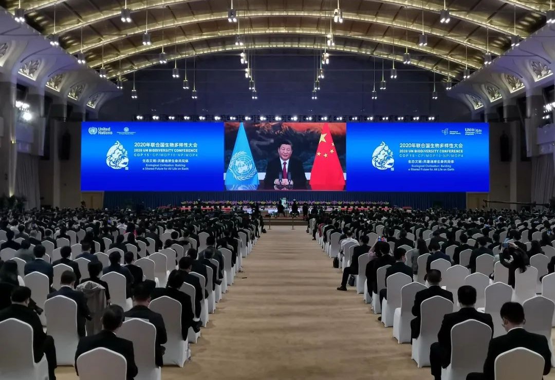 世界杯赛程·2026美加墨中国区现场直播