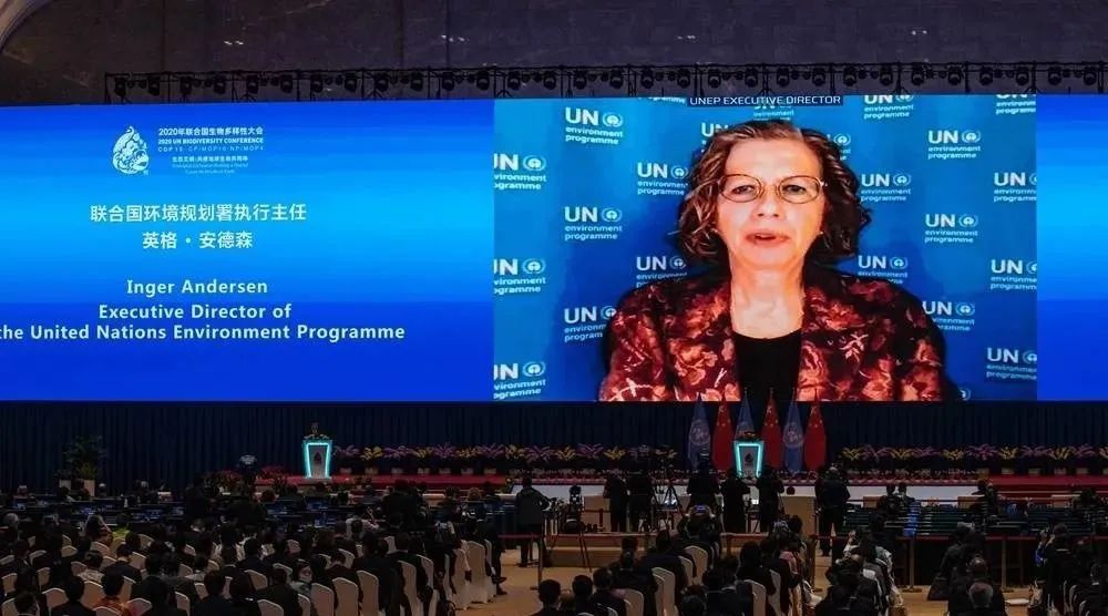 世界杯赛程·2026美加墨中国区现场直播